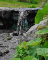 Wasserfall an der Roseninsel